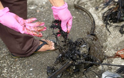 <p><strong>TRAGEDY.</strong> The oil spill off Limay, Bataan reaches the coast of Barangay Amaya 5, Tanza, Cavite as seen in this July 30, 2024 photo. The NDRRMC on Tuesday (Aug. 6) said 21 towns and cities in the provinces of Bataan and Cavite are now under a state of calamity due to the effects of the oil spill caused by the sinking of the M/T Terranova. <em>(PNA file photo by Joan Bondoc)</em></p>