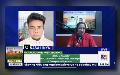 <p><strong>GROWING VEGGIES</strong>. Renato Acasio, Department of Agriculture 5 (Bicol) High-Value Crop Development Program officer, says in a radio interview on Thursday (Aug. 1, 2024) that they want to strengthen the implementation of the Gulayan sa Paaralan Program in various public schools in the region. He said each recipient school would receive such agricultural inputs as seedlings and organic fertilizer. <em>(Screen grab from Radyo Pilipinas)</em></p>