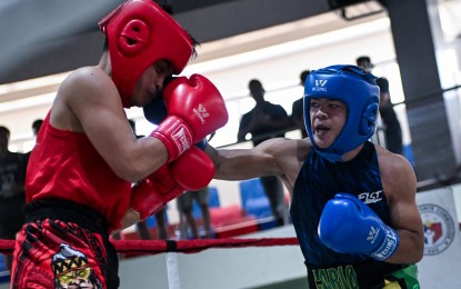 <p><strong>BIG WIN</strong>. Carlo Espinosa (in blue) of the La Concepcion College connects a right hook against Ridge Aqui Burgos of the University of Perpetual Help System Dalta during the men's 57-60kg finals in the Air Force category of the Philippine ROTC Games - Luzon leg at the Tagaytay Combat Sports Center in Cavite on Thursday (Aug. 1, 2024). Espinosa won a referee-stopped contest with 5 seconds left in the first round. <em>(Photo courtesy of Philippine Sports Commission)</em></p>