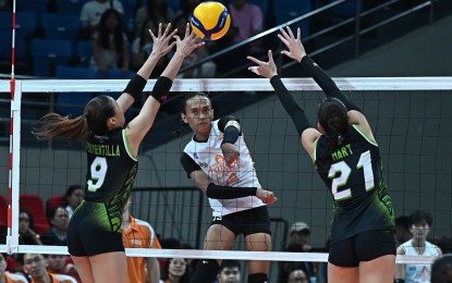 <p><strong>AERIAL ATTACK.</strong> Farm Fresh's Trisha Gayle Tubo tries to score against Nxled's Chiara Mae Permentilla (No. 9) and Meegan Hart in the Premier Volleyball League Reinforced Conference at Philsports Arena in Pasig City on Saturday (Aug. 3, 2024). The Foxies won, 25-16, 25-15, 25-17, for a 2-2 slate. <em>(Photo courtesy of PVL)</em></p>