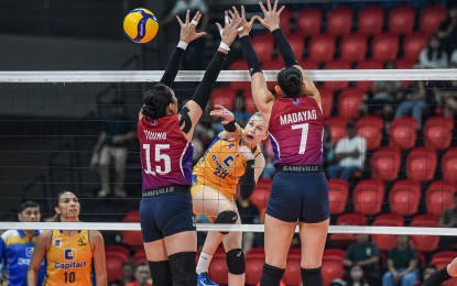 <p><strong>VALUABLE PLAYER.</strong> Capital1 import Marina Tushova (No. 23) scores against Choco Mucho's Honey Royse Tubino (No. 15) and Madeleine Madayag (No. 7) in the Premier Volleyball League Reinforced Conference at PhilSports Arena in Pasig City on Aug. 1, 2024. The Russian outside hitter scored 45 points to lead the Solar Spikers to a 13-25, 25-21, 18-25, 25-20, 15-13 victory. (<em>Photo courtesy of PVL)</em></p>