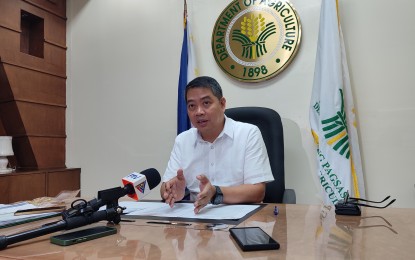 <p><strong>NO PRICE SPIKE.</strong> Agriculture Assistant Secretary Arnel de Mesa reports the resurgence of African swine fever (ASF) in five areas in Batangas on Monday (August 5, 2024). He, however, said price spikes in pork products are not expected as supply is primarily sourced from Central Luzon. <em>(PNA photo by Stephanie Sevillano)</em></p>