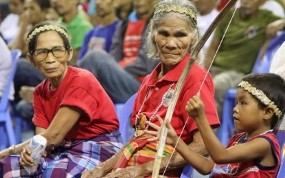 <p><strong>IP DAY.</strong> Members of the Indigenous Peoples (IP) in Antique province during the IP Day on Sept. 4, 2023.  Charlen Panaguiton, officer-in-charge of the NCIP Aklan-Antique Community Service Center, said on Friday (Aug. 9, 2024) that they were assisting the Ati settlement in Barangay Igcococ, Sibalom, to have an IP Mandatory Representative in their local council<em>. (Photo courtesy of Sibalom LGU)</em></p>