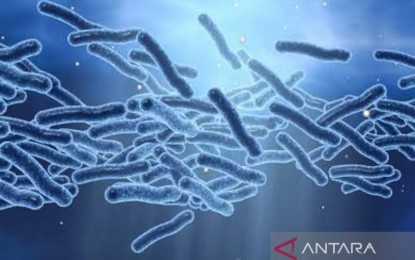 <p>Legionella virus <em>(ANTARA/Shutterstock/am)</em></p>