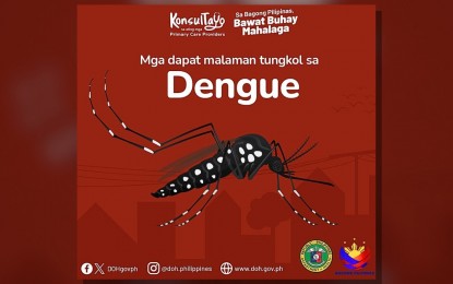 <p><strong>FIGHTING DENGUE.</strong> The Department of Health (DOH) is raising public awareness about dengue fever. The agency on Monday (Aug. 12, 2024) urged hospitals to re-establish fast lanes for suspected dengue patients as the mosquito-borne disease has downed 6,058 residents in Eastern Visayas with 15 deaths this year.<em> (Infographic courtesy of DOH)</em></p>