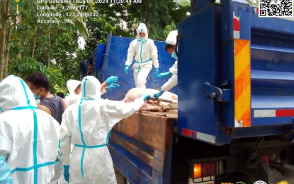 <p><strong>BIOSECURITY MEASURES</strong>. Agriculture technicians collect for culling hogs affected by the African swine fever in West Balabag, Valencia, Negros Oriental on Aug. 9, 2024. Agri Party-list Rep. Wilbert Lee on Thursday (Aug. 15) urged government agencies to ramp up efforts to address the escalating impact of ASF in the country.<em> (Photo courtesy of the Provincial Veterinary Office)</em></p>