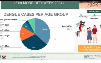 Over 10K dengue cases, 20 deaths recorded in W. Visayas