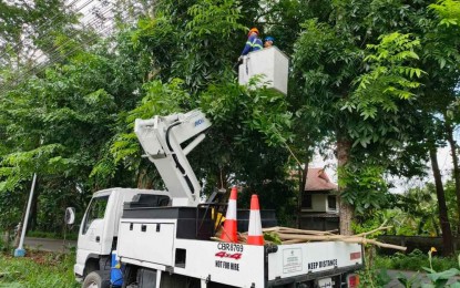 <p><strong>CLEARING OPERATION.</strong> Personnel of Negros Electric and Power Corp.'s accredited contractor remove the tree branches growing in areas with power lines in this photo taken last weekend. “One of the priorities of Negros Power is the clearing of vegetation which is one of the causes of brownouts,” it said in a statement on Tuesday (Aug. 13, 2024<em>). (Photo courtesy of Negros Electric and Power Corp.)</em></p>