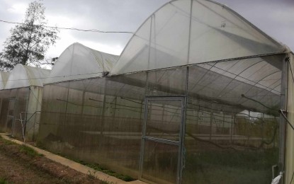 <p><strong>HYDROPOWER.</strong> The greenhouse in San Remigio, Antique that is not fully functional due to the lack of power and water supply. Bienvinido Nallos Jr., provincial planning and development officer, said in an interview Tuesday (Aug. 13, 2024) that there is a plan to revive and upgrade the mini-hydropower in San Remigio. <em>(PNA file photo by Annabel Consuelo J. Petinglay)</em></p>