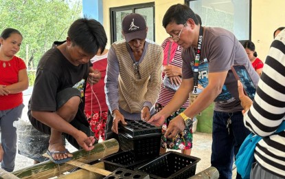 <p><strong>SUSTAINABLE LIVELIHOOD. </strong>Members of Sustainable Livelihood Program Associations (SLPAs) in Catanduanes province participate in a hands-on training for a mangrove crab fattening project on Tuesday (Aug. 13, 2024). The Department of Social Welfare and Development-Bicol (DSWD-5) said on Wednesday the five SLPAs received various skills training and a seed capital ranging from PHP75,000 to PHP375,000, or a total of PHP1.17 million<em>. (Photo courtesy of DSWD-Bicol) </em></p>