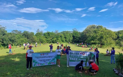 <p><strong>GREENING PROGRAM TARGET</strong>. Currimao residents plant coconut tree seedlings in Barangay Comcomloong, Currimao, Ilocos Norte on July 18, 2024. The town has planted coconut seedlings in about 25 hectares of idle lots and mountainous areas, half of its at least 50-hectare greening program target. <em>(Photo courtesy of Currimao LGU)</em></p>