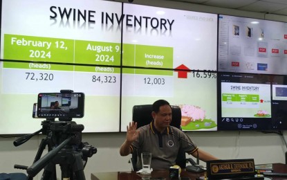 <p><strong>RECOVERING. S</strong>wine inventory in Iloilo province increased to 84,323 heads as of Aug. 9 swine inventory, data from the Provincial Veterinarian’s Office showed. Iloilo Governor Arthur Defensor Jr., in a press conference on Wednesday (Aug. 14, 2024), said the backyard industry sustains the supply of pork in the province. <em>(PNA photo by PGLena)</em></p>