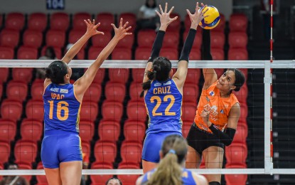 <p><strong>IMPROVED QUARTERFINAL BID</strong>. Farm Fresh import Yeny Murillo (No. 1) tries to score against Capital1's Norielle Julia Ipac (No. 16) and Leila Jane Cruz (No. 22) during the Premier Volleyball League (PVL) Reinforced Conference at the Philsports Arena in Pasig City on Thursday (Aug. 15, 2024). Farm Fresh won, 25-17, 25-23, 25-20. <em>(Photo courtesy of PVL)</em>  </p>