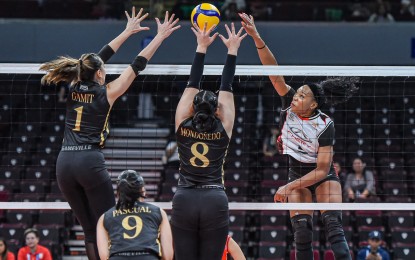 <p><strong>FORCE.</strong> Chery Tiggo import Katherine Briana Bell (right) tries to score against ZUS Coffee's Michelle Gamit (No. 1) and Cloanne Sophia Mondoñedo (No. 8) during the Premier Volleyball League Reinforced Conference at Mall of Asia Arena in Pasay City on Saturday (Aug. 17, 2024). Chery Tiggo won, 25-18, 25-18, 25-19, to make the quarterfinals. <em>(Photo courtesy of PVL)</em></p>