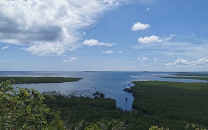 <p><strong>TOURIST HAVEN</strong>. A mangrove area in Rosario, Northern Samar noted for tasty mud crabs. The site is included in one of two tourism circuits unveiled by the Northern Samar provincial government<em>. (Photo courtesy of Northern Samar Tourism Office)</em></p>