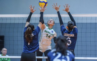 <p><strong>SECOND WIN.</strong> College of Saint Benilde's Weilyn Estoque (No. 14) tries to score against Letran's Nizelle Aerlyen Martin (No. 7) and Angelique Ledesma (No. 6) in the V-League Women's Collegiate Challenge at the Paco Arena in Manila on Sunday (Aug. 18, 2024). The Lady Blazers won, 25-21, 25-22, 25-21. <em>(Photo courtesy of PVL)</em></p>