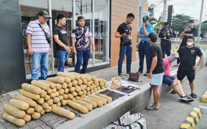 <p><strong>SEIZED.</strong> Police officers account for dried marijuana leaves seized in a buy-bust operation in Valenzuela City on Friday (Aug. 23, 2024). Arrested in the operation was 49-year-old suspect, alias "Rich". <em>(Photo courtesy of PDEG)</em></p>