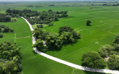 <p><strong>COMPLETED.</strong> The two-lane road measuring 555 meters in Barangay Macabucod, Aliaga, Nueva Ecija in this undated photo. The DPWH on Friday (Aug. 23, 2024) said it has completed several infrastructure projects worth PHP121 million in Nueva Ecija and Negros Occidental provinces. <em>(Photo courtesy of DPWH)</em></p>