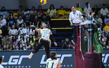 <p><strong>BIG LEAP.</strong> UST's Angeline Poyos (No. 17) prepares to hit the ball during their game against College of Saint Benilde in the V-League Women's Collegiate Challenge at Paco Arena in Manila on Sunday (Aug. 25, 2024). The Golden Tigresses won, 25-16, 19-25, 14-25, 25-22, 15-12. <em>(Photo courtesy of PVL)</em></p>