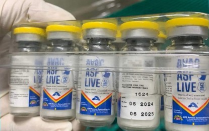 <p><strong>ASF VAX.</strong> The Department of Agriculture (DA) announces that the vaccine rollout against African swine fever (ASF) in Lobo, Batangas will start on Aug. 30, 2024. DA Secretary Francisco Tiu Laurel Jr. said Wednesday (Aug. 28) that they were planning to procure 150,000 additional doses of AVAC ASF live vaccines amid a sudden spike in ASF cases in some areas of the country. <em>(Photo courtesy of DA Assistant Secretary Arnel de Mesa)</em></p>