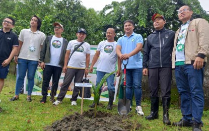 <p><strong>COCONUT PLANTING</strong>. Philippine Coconut Authority administrator Dr. Dexter Buted and Pangasinan Provincial Administrator Melicio Patague II (6th and 7th from left) pose with other government officials during the kick-off ceremony of the Bayaniyugan through a simultaneous coconut planting activity at Barangay Estanza Lingayen town, Pangasinan on Wednesday (Aug. 28, 2024). The PCA targets to plant 300,000 coconut seedlings in the 600 hectares land area in the different parts of Ilocos Region this year in line with the country’s aim to boost the coconut industry. <em>(Photo courtesy of Liwayway Yparraguirre) </em></p>