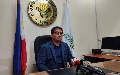 <p><strong>ALL SYSTEMS GO</strong>. Agriculture Assistant Secretary Arnel De Mesa says during an interview Thursday (Aug. 29, 2024) that it's all systems go for the country's first government-controlled vaccine rollout against African swine fever (ASF) in Lobo, Batangas on Aug. 30, He said small-hold backyard hog raisers would be prioritized. <em>(PNA photo by Stephanie Sevillano)</em></p>