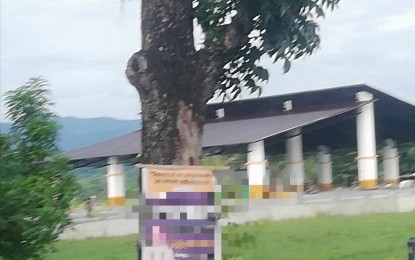 <p><strong>NO PREMATURE CAMPAIGNING.</strong> A tarpaulin of an elected official in Antique along the highway in Sibalom, Antique, in this photo on Friday (Aug.30, 2024). Provincial election supervisor Salud Milagros Villanueva said there is no premature campaigning for aspirants mounting tarpaulins or campaign materials ahead of the campaign period.<em> (PNA photo by Annabel J. Petinglay)</em></p>