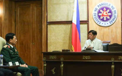 <p><strong>IMPROVED PH-VIETNAM TIES</strong>. President Ferdinand R. Marcos Jr. welcomes Vietnamese Defense Minister Gen. Phan Van Giang at Malacañan Palace in Manila on Friday (Aug. 30, 2024). During their meeting, Marcos hoped that Phan’s visit would open more opportunities to improve the Philippines and Vietnam’s ties in the areas of defense, maritime, and trade. <em>(Photo courtesy of the Presidential Photojournalists Association)</em></p>