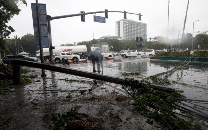 <p><strong>INACCESSIBLE.</strong> The whole stretch of Padre Burgos Street in Manila is temporarily closed to traffic on Monday (Sept. 2, 2024). A tree fell and toppled an electric post amid heavy rainfall near the corner of Roxas Boulevard. <em>(PNA photo by Yancy Lim)</em></p>