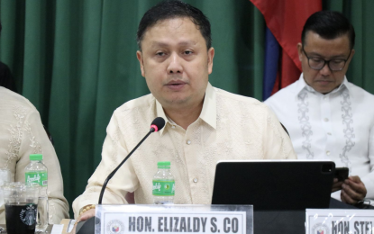 <p>Ako Bicol Party-list Rep. Elizaldy Co<em> (Photo courtesy of House Press and Public Affairs Bureau)</em></p>