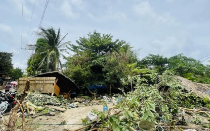 <p><strong>DESTRUCTION</strong>. Houses damaged by landslides and strong winds in Biri, Northern Samar in this photo taken on Monday (Sept. 2, 2024). Two persons died while four were hurt due to landslides in the island town when Tropical Storm Enteng battered the province on Sunday (Sept. 1<em>). (Photo courtesy of Neya Mabutin)</em></p>