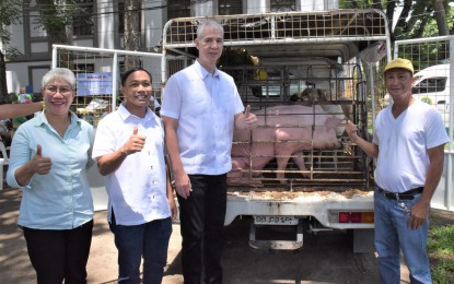 <p><strong>BREEDER SWINE DISPERSAL</strong>. Negros Occidental Governor Eugenio Jose Lacson (3rd from left), with provincial veterinarian Placeda Lemana (left) and Sixth District Board Member Jeffrey Tubola (second from left), turns over a breeder swine to one of the recipient hog raisers at the Provincial Capitol grounds in Bacolod City on Tuesday (Sept. 3, 2024). The program is part of the Provincial Swine Industry Recovery Initiatives after losing thousands of pigs to African swine fever and other transboundary diseases last year.<em> (Photo courtesy of PIO Negros Occidental)</em></p>