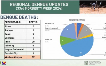 <p><strong>INCREASING DENGUE CASES.</strong> Image shows the distribution of dengue fatalities in Western Visayas in a report released by the Department of Health Western Visayas Center for Health Development (DOH WV CHD) during a virtual presser on Wednesday (Sept. 4, 2024). The center encouraged the public to seek immediate consultation as dengue cases and deaths in the region are increasing. <em>(Photo screengrab from DOH WV CHD presentation)</em></p>