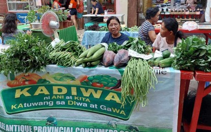 <p><strong>KADIWA NG PANGULO.</strong>  Farmers, fisherfolk, and micro, small and medium enterprises join the “Kadiwa ng Pangulo” (KNP) at the Business Park in San Jose de Buenavista, Antique province, on Aug. 12-14, 2024. Antique Provincial Government KNP coordinator Ge Anthony Recopuerto said in an interview Thursday (Sept. 5) that more farmers, fisher folks, and MSMEs are encouraged to join because of higher income. <em>(Photo courtesy of Office of the Provincial Agriculturist)</em></p>