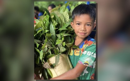 <p><strong>WILD SEEDLINGS.</strong> A learner from Barangay Panipiason in Madalag, Aklan gathers wild seedlings in exchange for school supplies in July this year. The Provincial Environment and Natural Resources Office engages learners of schools within the Protected Area – Aklan River Watershed Forest Reserve in environmental protection and conservation campaign. <em>(Photo courtesy of PENRO-Aklan)</em></p>