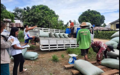 <div dir="auto"><strong>AFFORDABLE RICE</strong>. Apayao farmers who are members of an irrigators’ association in Flora, Apayao turn over their production to the National Irrigation Administration through a contract farming agreement scheme in this undated photo. At least 250 hectares of rice farms in Apayao were contracted under the government's bid to sell rice at PHP29 a kilo. <em>(Photo from NIA-Cordillera FB)</em></div>