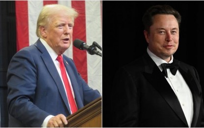 Trump eyes gov't efficiency commission headed by Musk