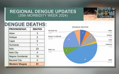 <p><strong>RISING CASES.</strong> Dengue cases in Western Visayas are rising as shown in this graph provided by the Department of Health Western Visayas Center for Health Development in a virtual presser on Tuesday (Sept. 10, 2024). Dr. Bea Camille Natalaray, program medical coordinator for emerging and re-emerging infectious disease cluster, said they have advised hospitals on the management of surge capacity, and urged the communities to practice anti-dengue strategies. <em>(screengrab from DOH virtual presser)</em></p>