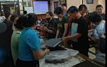 <p><strong>HYDROPONICS TRAINING</strong>. At least 60 urban farmers from Baguio City start on Tuesday (Sept. 10, 2024) the three-day hydroponics vegetable production training by the Department of Agriculture’s National Urban and Peri Urban Agriculture Program (NUPAP). Part of the program is the construction of two 8x18 meters greenhouse equipped with hydroponics system.<em> (PNA photos courtesy of Aida Pagtan/ DA-CAR RAFIS)</em></p>