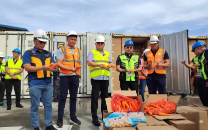 <p><strong>SMUGGLED AGRICULTURE COMMODITIES.</strong> Officials from the Department of Agriculture, Bureau of Plant Industry, and Bureau of Customs inspect the smuggled fresh carrots and white onions at the Subic Port in Zambales on Wednesday (Sept. 11, 2024). The said products were misdeclared as frozen fish egg balls. <em>(PNA photo by Stephanie Sevillano)</em></p>