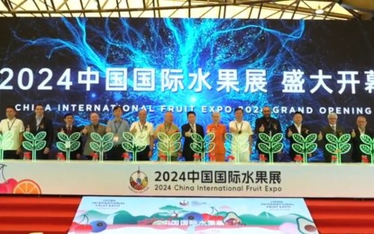 <p><strong>FRUIT EXPO</strong>. Participants take part in the 2024 China International Fruit Expo (CIFE) held in Shanghai, China from Aug. 28 to 30, 2024. Glenn G. Peñaranda, Commercial Counsellor of the Philippine Embassy in China, said the CIFE is an important occasion to promote fruit trade between the Philippines and China. <em>(Courtesy of CMG-FS)</em></p>