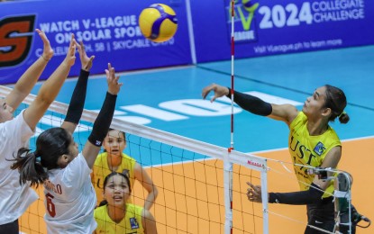 <p><strong>ATTACK.</strong> UST's Angeline Poyos (No. 17) tries to score against UP's Kianna Louise Olango (No. 6) during the V-League Women's Collegiate Challenge at the Paco Arena in Manila on Wednesday (Sept. 11, 2024). The Golden Tigresses prevailed, 25-15, 25-14, 25-23, to get the No. 1 seeding in the semifinals. <em>(Photo courtesy of PVL)</em></p>