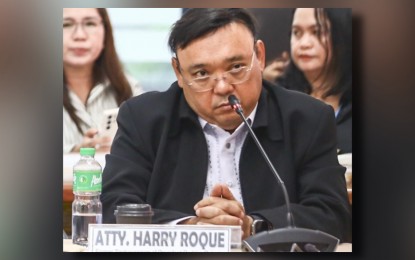 <p>Former presidential spokesperson Harry Roque <em>(PNA photo by Joan Bondoc)</em></p>