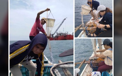 <p><strong>SHELLFISH SAMPLING.</strong> The Bureau of Fisheries and Aquatic Resources in Negros Oriental on Wednesday (Sept. 18, 2024) reports that the shellfish ban in Bais Bay in Bais City, Negros Oriental is still in effect. However, Tambobo Bay and Siit Bay in Siaton town tested negative for red tide. <em>(PNA file photos by BFAR-Negros Oriental)</em></p>