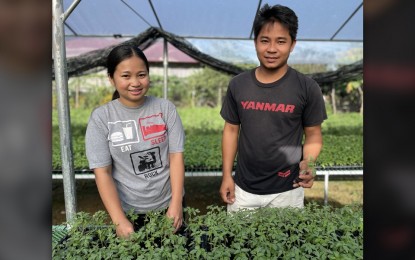 <p><strong>YOUNG FARMERS</strong>. Kevin Wayne Baga and her girlfriend, Ana Cristina Guiang established the KA-Bukid Propagation Farm in Batac City, Ilocos Norte. President Ferdinand R. Marcos Jr. on Thursday (Sept. 19, 2024) stressed the need to give land to graduates of agriculture-related courses to produce new breed of farmers equipped with modern technology and tools. <em>(PNA file photo by Leilanie Adriano)</em></p>