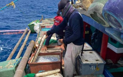 <p><strong>ILLEGAL FISHING.</strong> Authorities inspect the catch of an illegal fishing boat in waters near Balesin Island in Polillo, Quezon on Thursday (Sept. 19, 2024). The Philippine Coast Guard said the seized gear and boats are estimated to be worth PHP3 million and their catch of 1,200 kilograms of various fish about PHP216,000. <em>(Photo courtesy of PCG)</em></p>