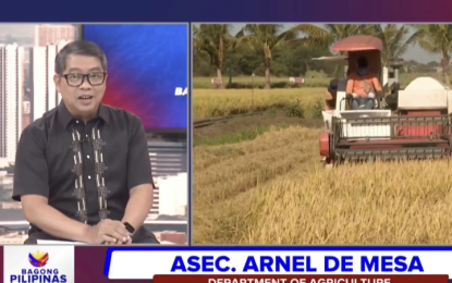 <p><strong>SIGNIFICANT CHANGE</strong>. Agriculture Assistant Secretary Arnel de Mesa expresses optimism on the agriculture sector’s target progress during the Bagong Pilipinas Ngayon briefing on Friday (Sept. 20, 2024). He said a significant changes in agriculture are expected in the next two to four years. <em>(Screengrab)</em></p>