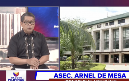 <p><strong>AGRI DAMAGE.</strong> Agriculture Assistant Secretary Arnel de Mesa reports higher agricultural damage due to the combined effects of the enhanced southwest monsoon and tropical cyclone Ferdie during the Bagong Pilipinas Ngayon briefing on Friday (Sept. 20, 2024). He said damaged has climbed to more than PHP600 million, with the rice sector being the hardest hit. <em>(Screengrab)</em></p>