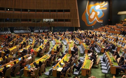 <p>UN General Assembly</p>