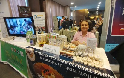 W. Visayas offers plenty of market opportunities for startups